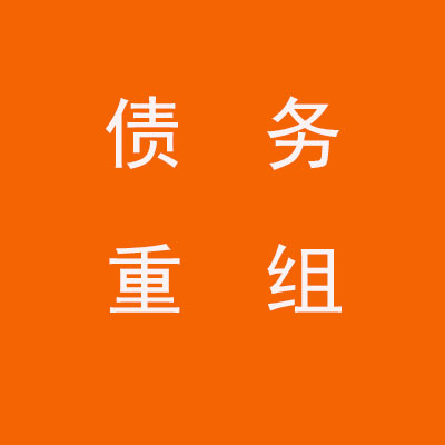 营根镇个人债务重组优化